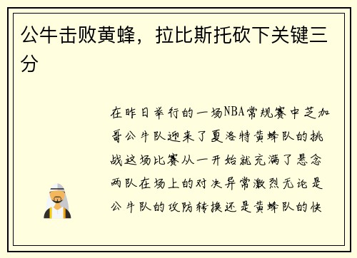 公牛击败黄蜂，拉比斯托砍下关键三分