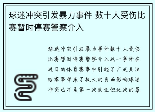 球迷冲突引发暴力事件 数十人受伤比赛暂时停赛警察介入