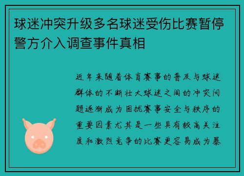 球迷冲突升级多名球迷受伤比赛暂停警方介入调查事件真相